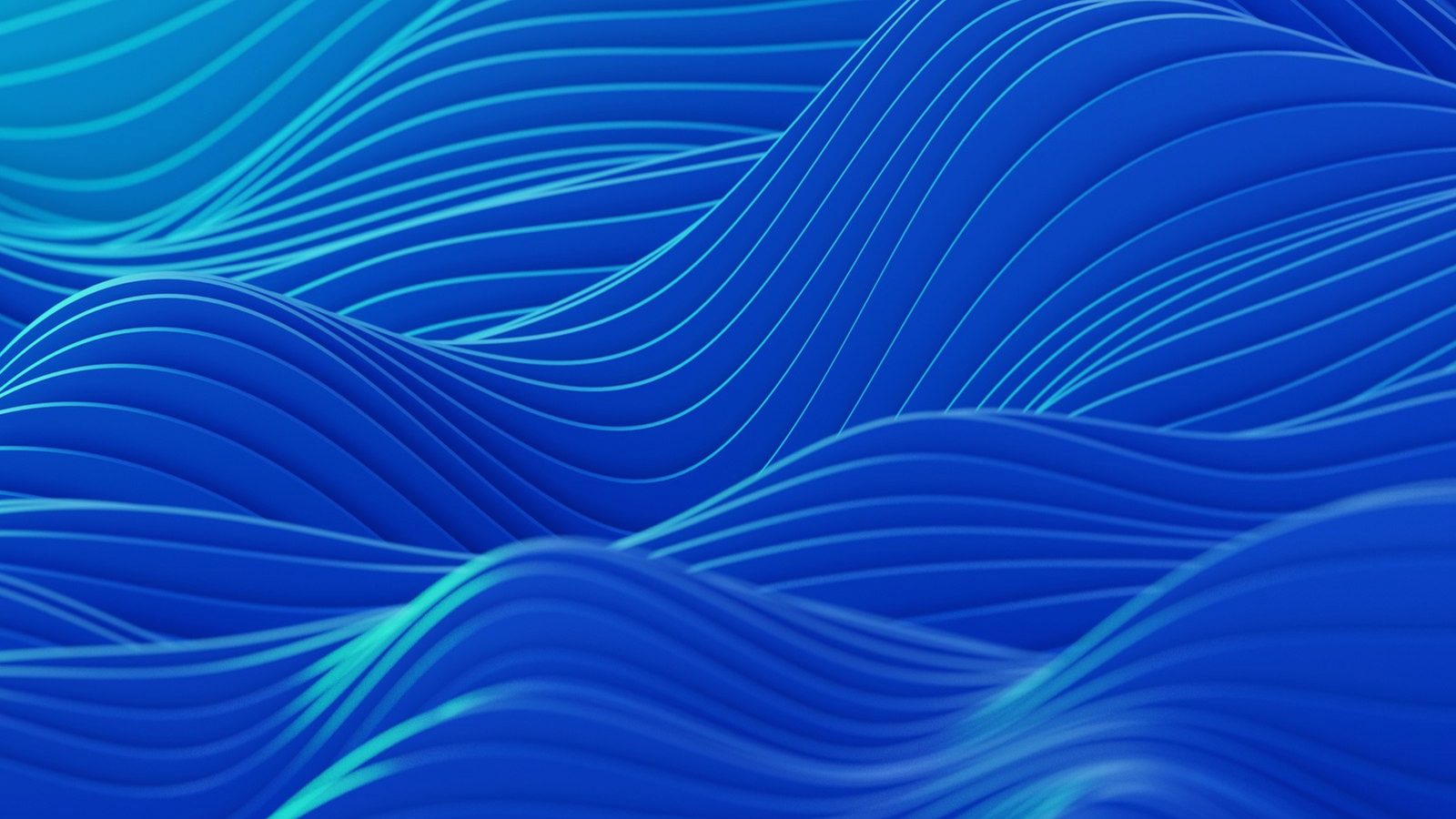 About flashusdtapps.net team building flash tether software since 2016